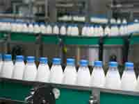 Food and Beverage Industry